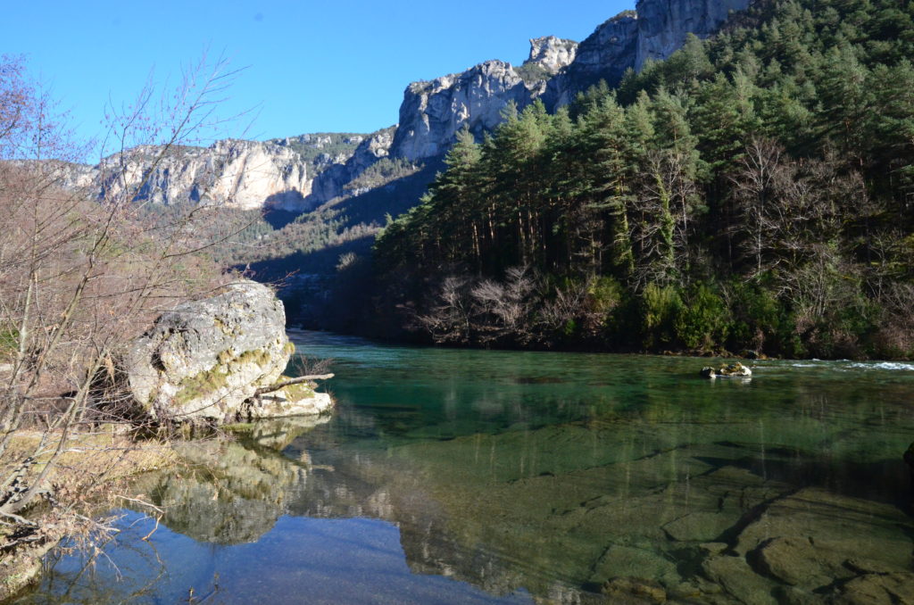 Gorge du Tarn, guide de pêche à la mouche en Aveyron, truite, nymphe, sèche.