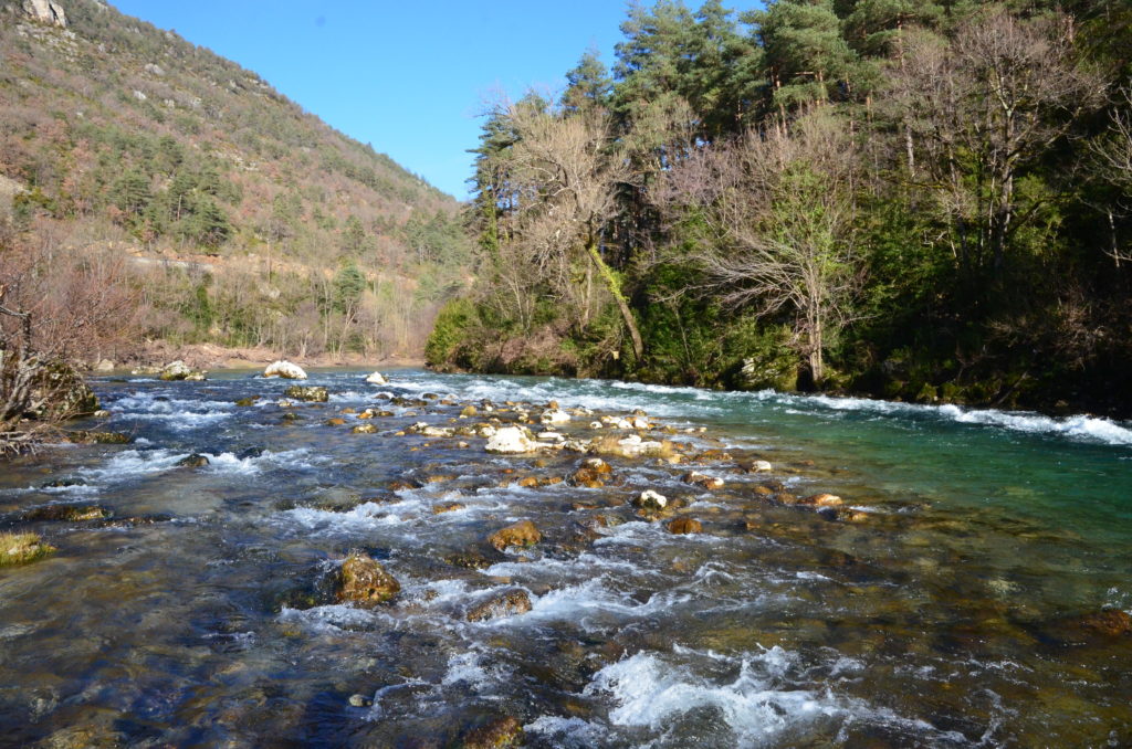 Gorges du Tarn. Guide de pêche à la mouche en Aveyron. Tenkara. Truite. Nymphe. Canoë.