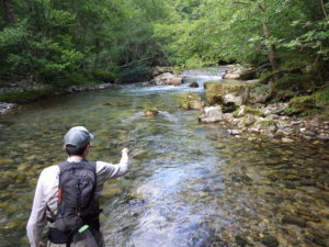 Guide de pêche à la mouche Aveyron.